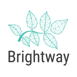 Getting started with Brightway25!